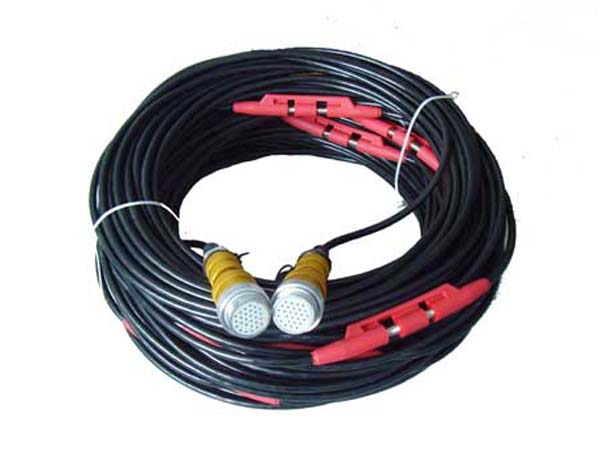 LGT3615 12-CH with Muller Takeout地震數(shù)傳電纜